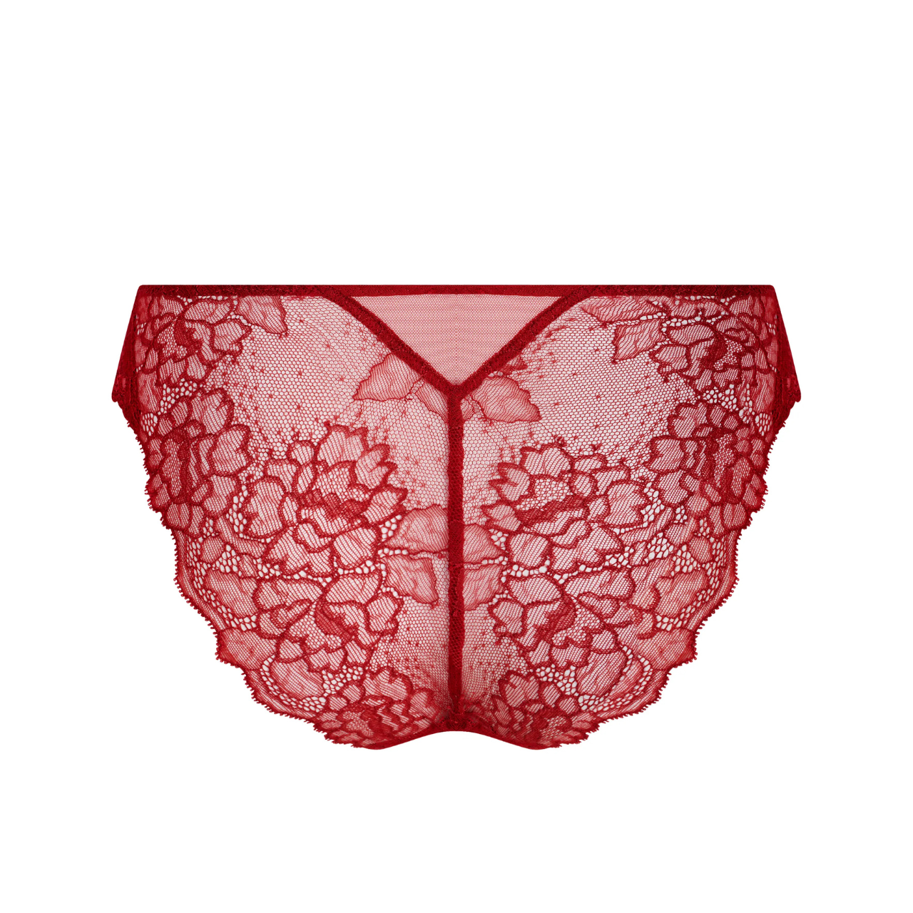 Sublime En Dentelle Italian Brief