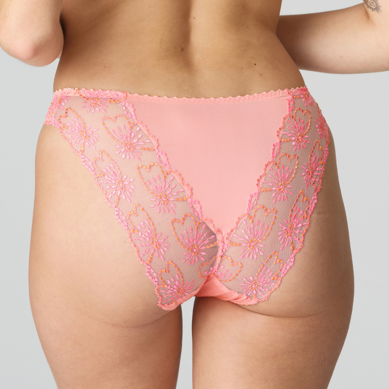Jane Italian Brief in Florida