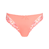 Jane Italian Brief in Florida