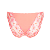 Jane Italian Brief in Florida