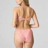 Jane Italian Brief in Florida