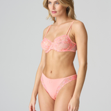 Jane Italian Brief in Florida