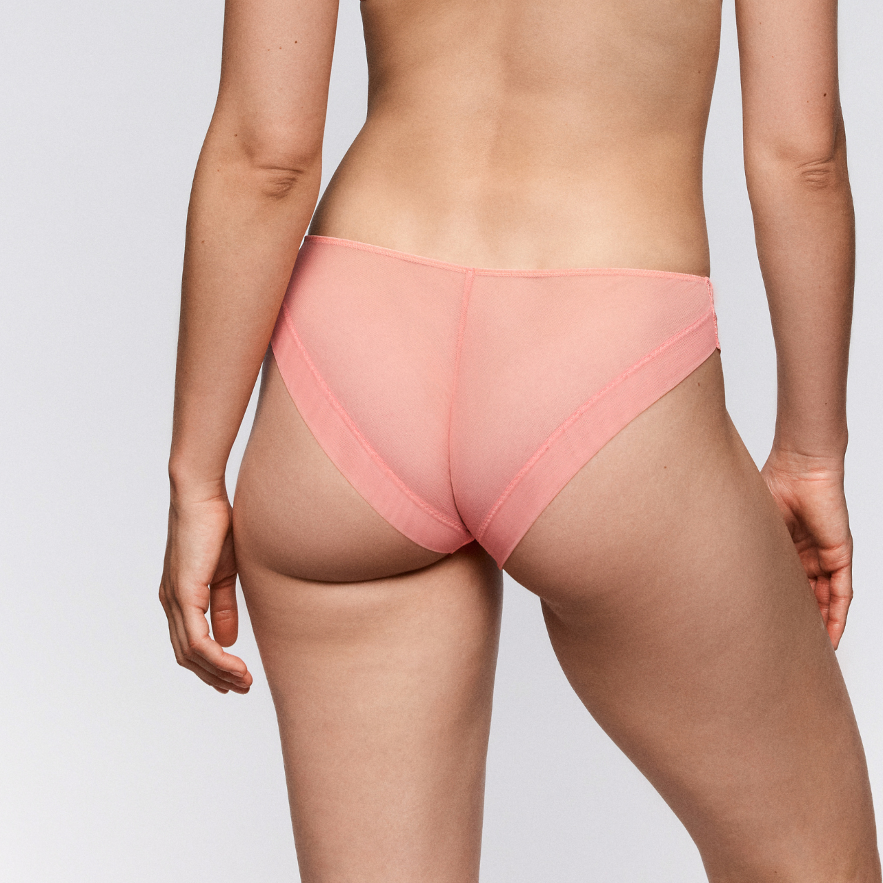 Amelia Rio Briefs in Florida