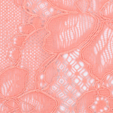 Amelia Mini Thong in Florida