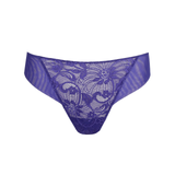 Shavonne Rio Briefs in Funky Violet