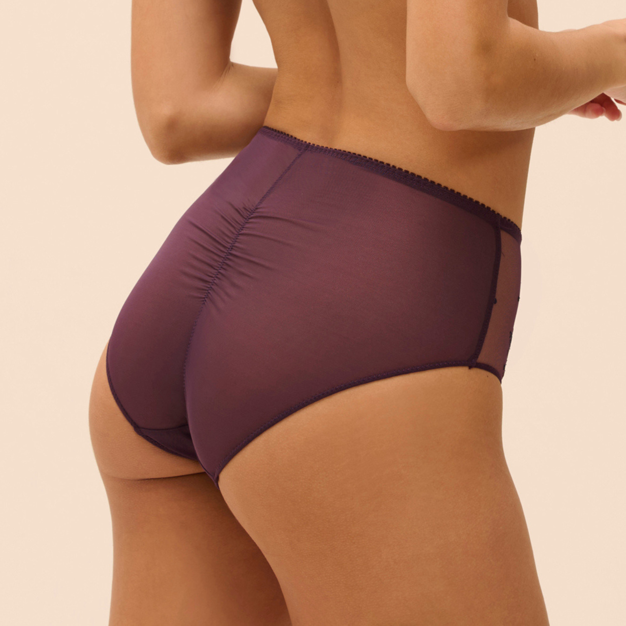 Intrigue Retro Brief in Fig