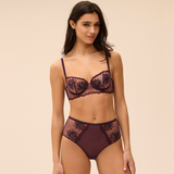 Intrigue Retro Brief in Fig