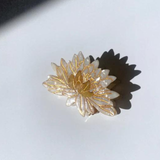 Hand Painted Assorted Claw Hair Clips