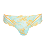 Georgia Hotpant in Clearwater