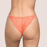 Turqueta Italian Brief in Papaya