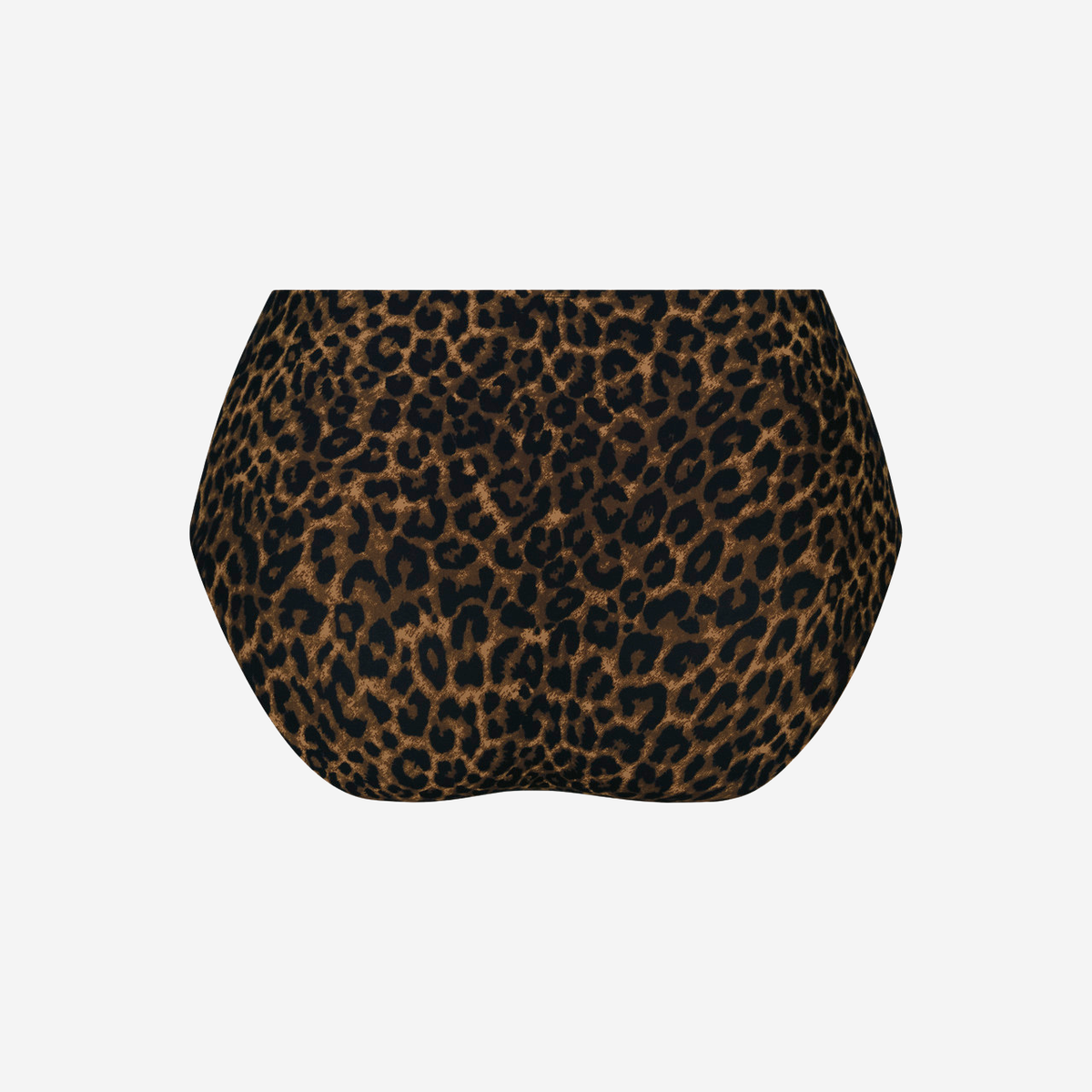 Essential Art  High Waist Brief in Gold Cat
