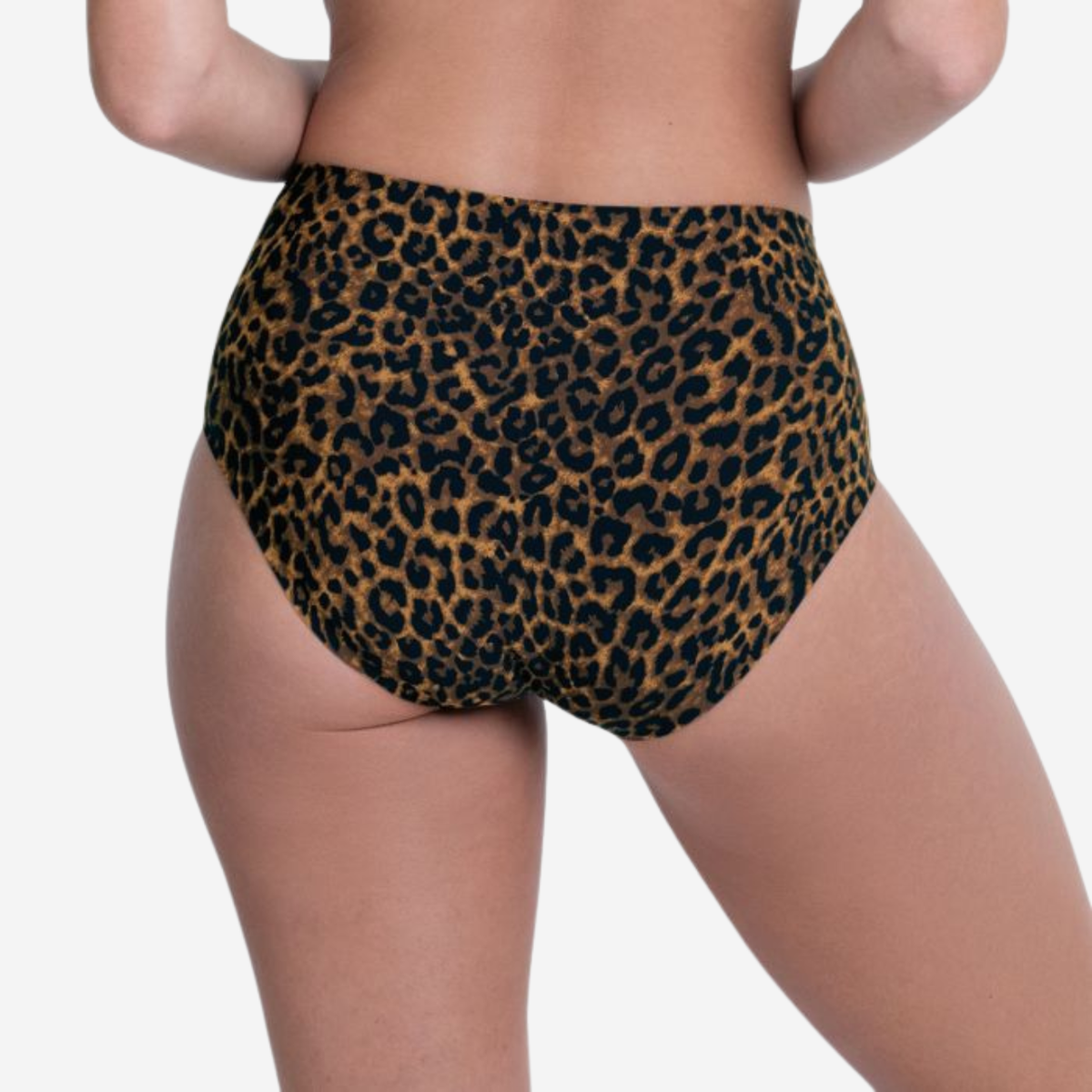 Essential Art  High Waist Brief in Gold Cat