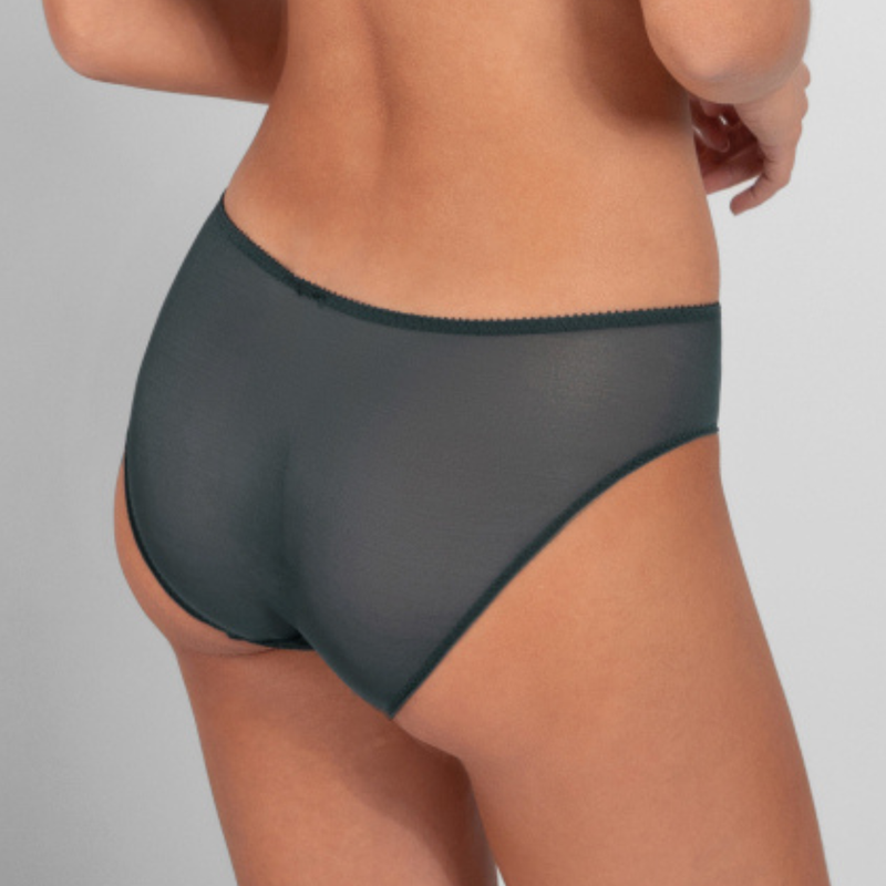 Louise Brief in Sequoia