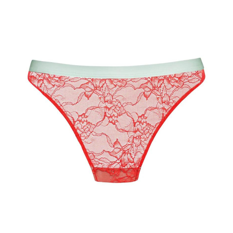 Serie Poetry Style Brazil Brief in Lollipop Red
