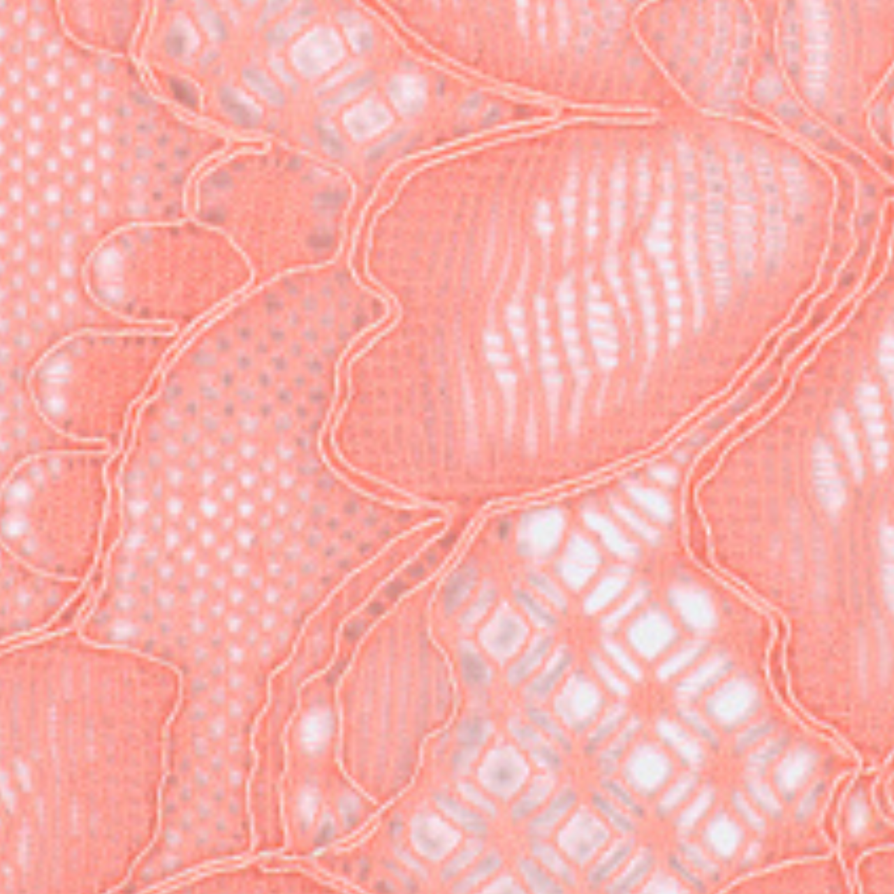 Amelia Rio Briefs in Florida