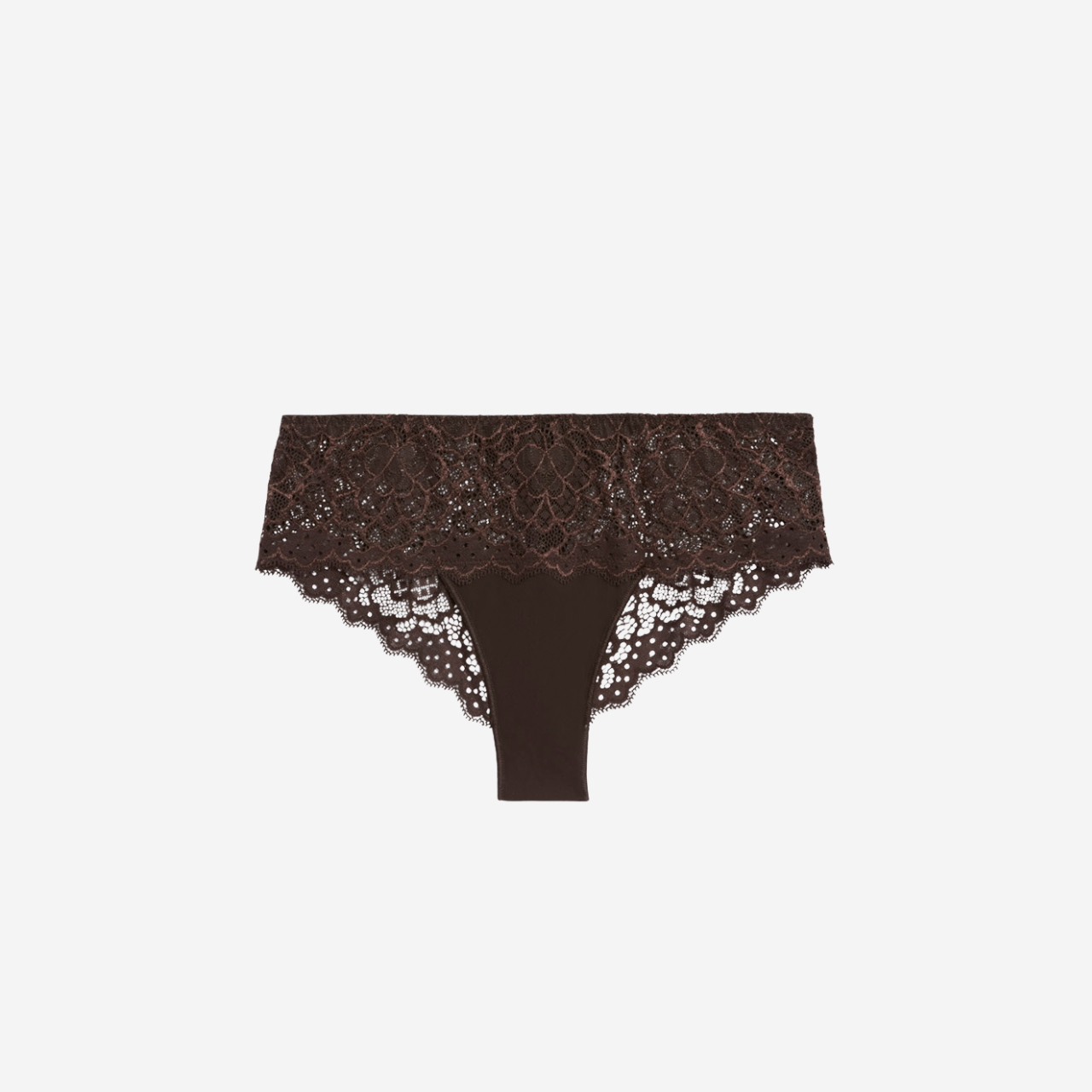 Caresse Shorts in Cocoa