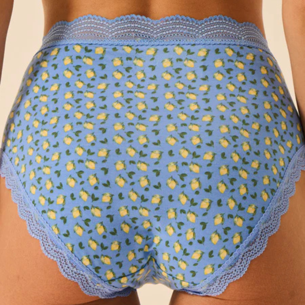 Ciao Bella High Rise Knicker Box