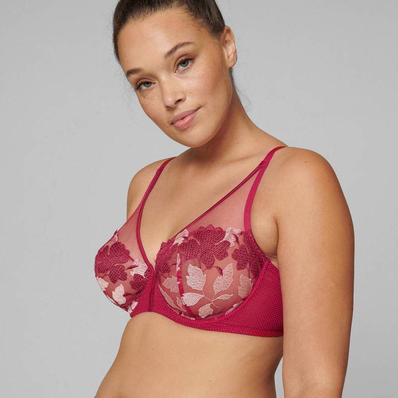 Dahlia Full Cup Plunge Bra