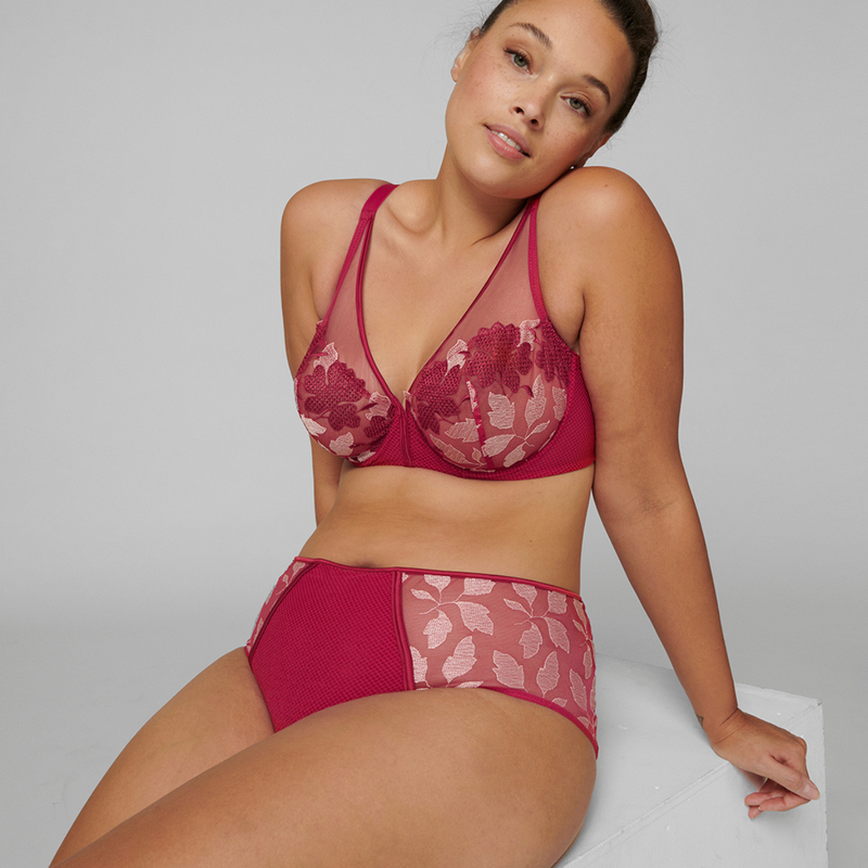 Dahlia High Waist Brief