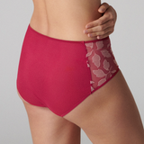 Dahlia High Waist Brief