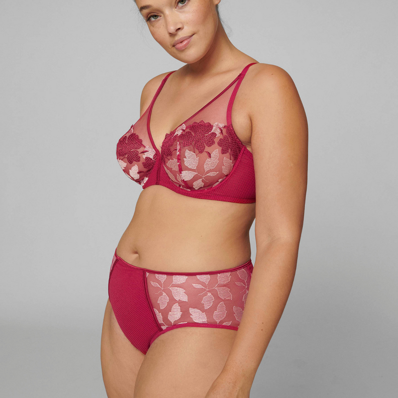 Dahlia High Waist Brief