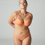 Reve Brief in Apricot